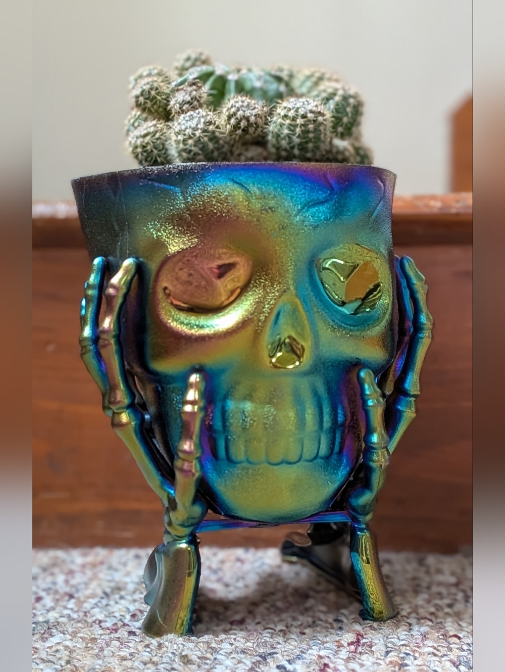 Rainbow Skull Planter